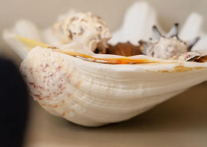 아파트 Naxos Joya